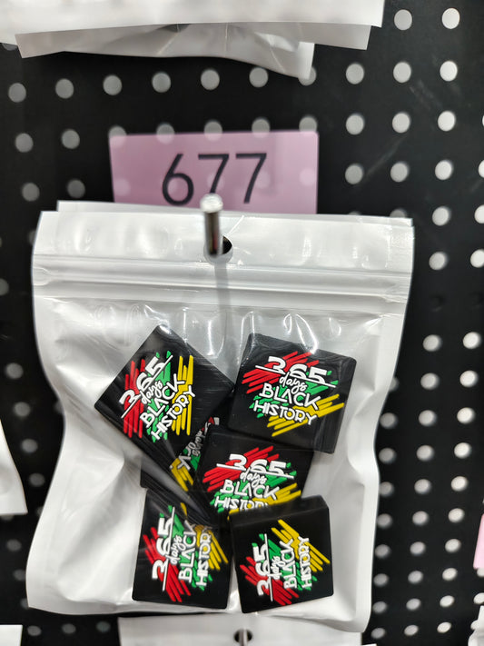 677 365 days Black History 6pcs